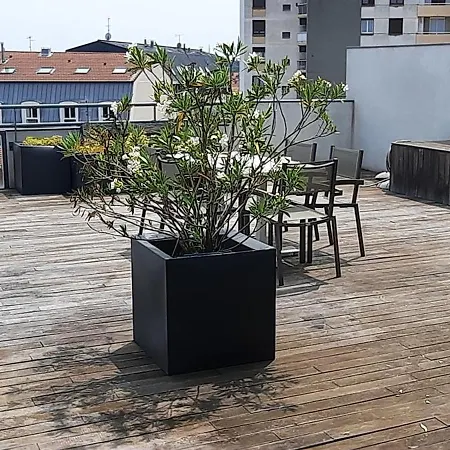 The Originals Hevea 3* Valence (Drome)