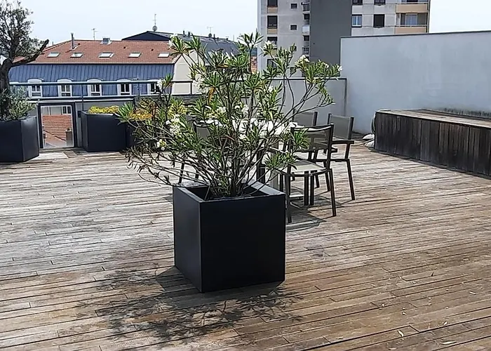 The Originals Hevea 3* Βαλένς